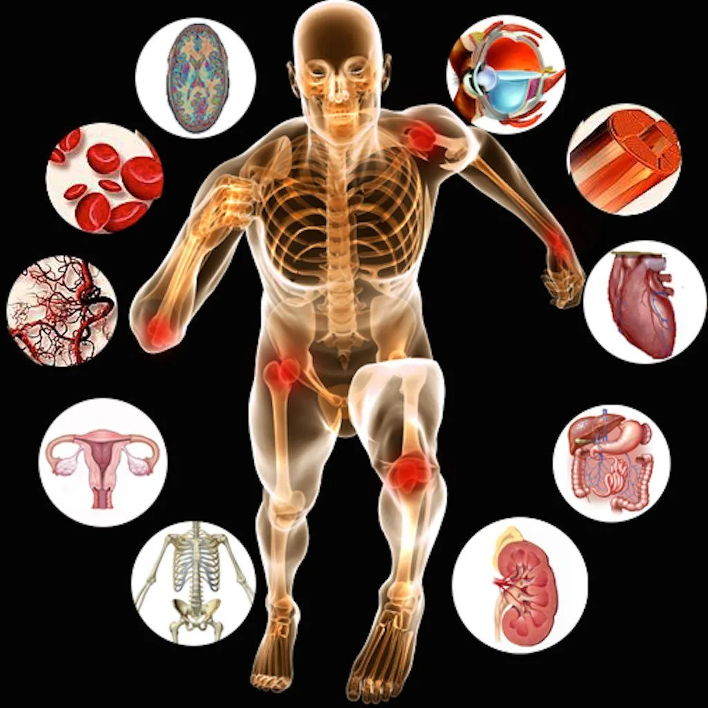 Hybrid Anatomy and Physiology
